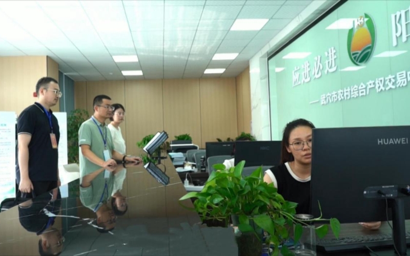 武穴市紀委監委工作專班在該市農村綜合產權交易中心查看農村“三資”監管平台運行情況。