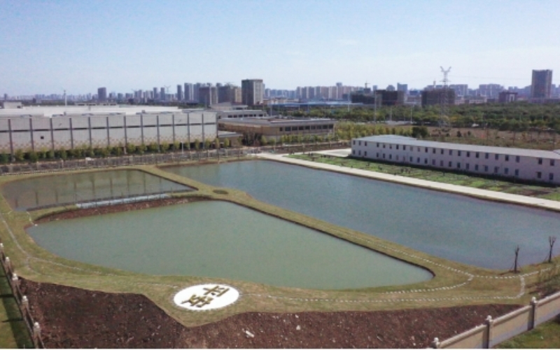 襄烟“平安”湿地鸟瞰。马强摄