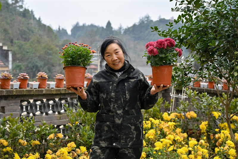 来自鹤峰县容美镇唐家铺村的苗木种植户。