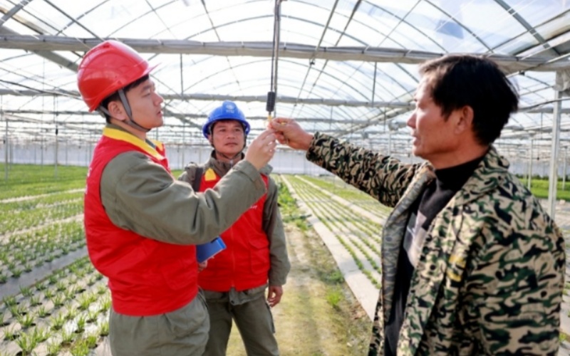 国网湖北电力：前置服务