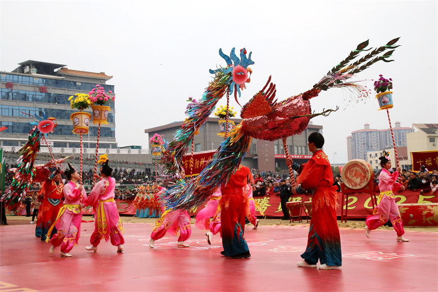 2025年2月11日，在湖北省十堰市郧阳区体育场，人们在表演凤凰灯舞。曹忠宏摄