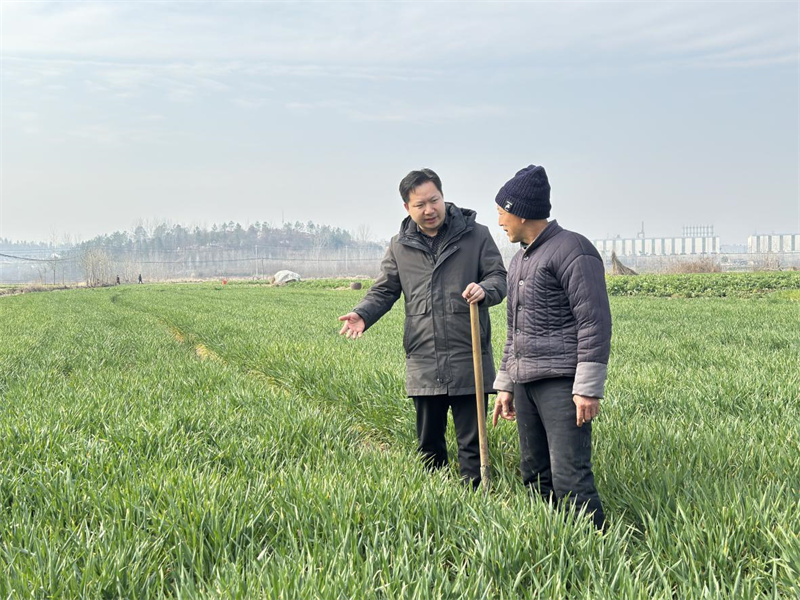 观察长势
