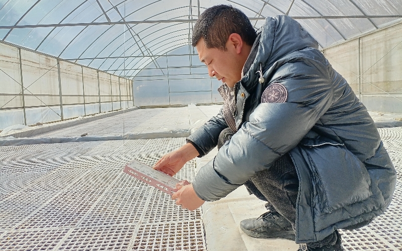 观察温湿度，更是关注希望。马俊锋摄