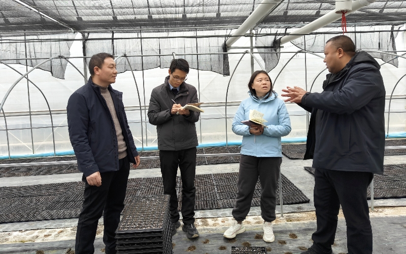 宣传团队在烟叶育苗大棚开展主题采访。湖北省烟草专卖局（公司）融媒体中心供图