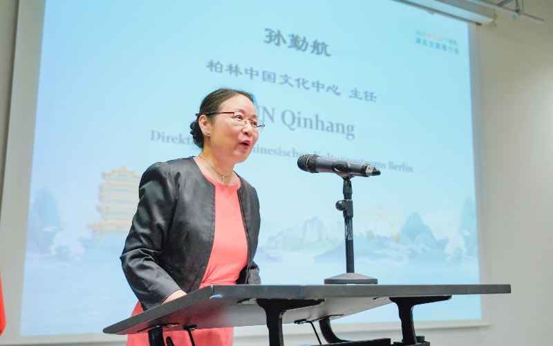 柏林中国文化中心主任孙勤航。