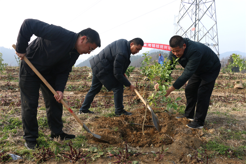 科技助农绘乡村新图景