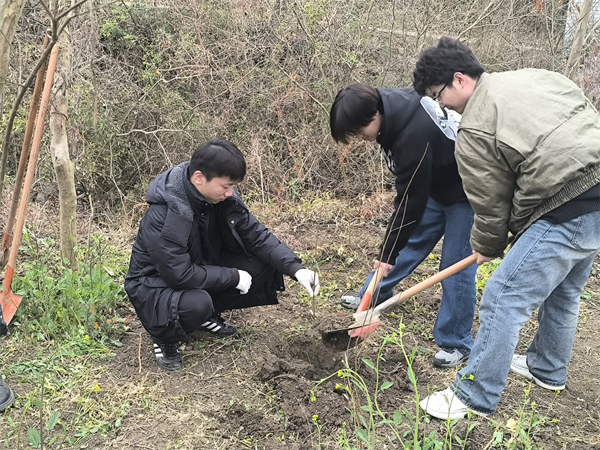 学生正在种树