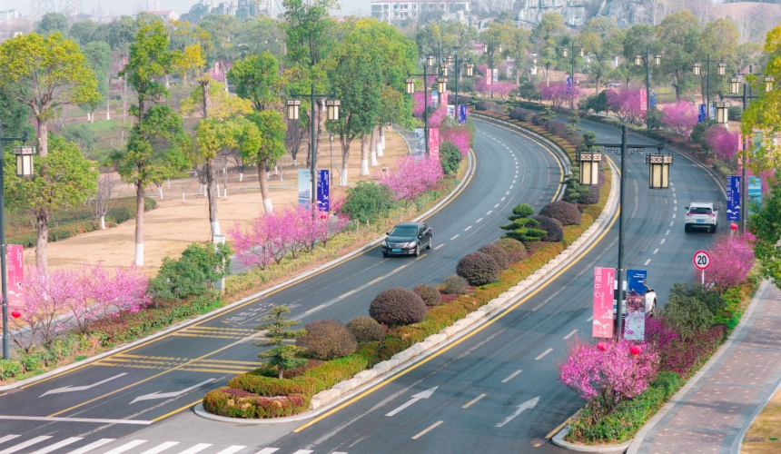 来天屿湖，春赏百花，感受盎然生机。汉川市委宣传部供图