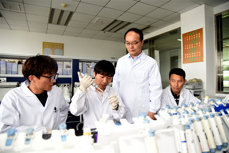 李一博教授课题组正在做实验。