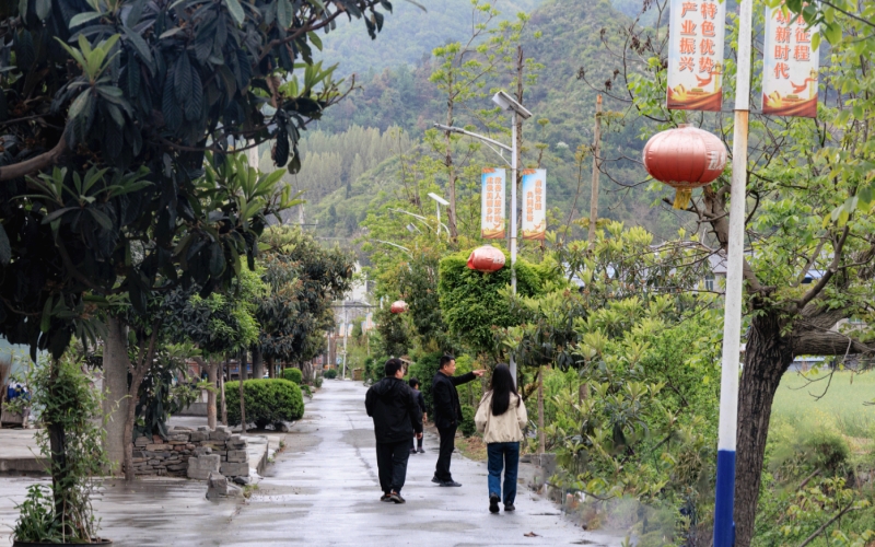 郧西县路灯“扮靓”和美乡村。邹景根摄