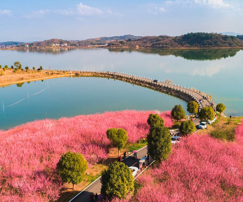 鄂州市梁子湖區東溝鎮大橋村梅花塢。