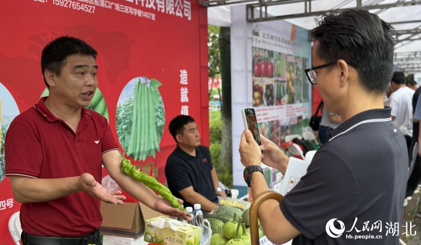 比成年人小臂还长的螺丝椒。
