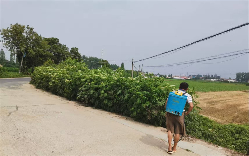 打药处理。受访者供图