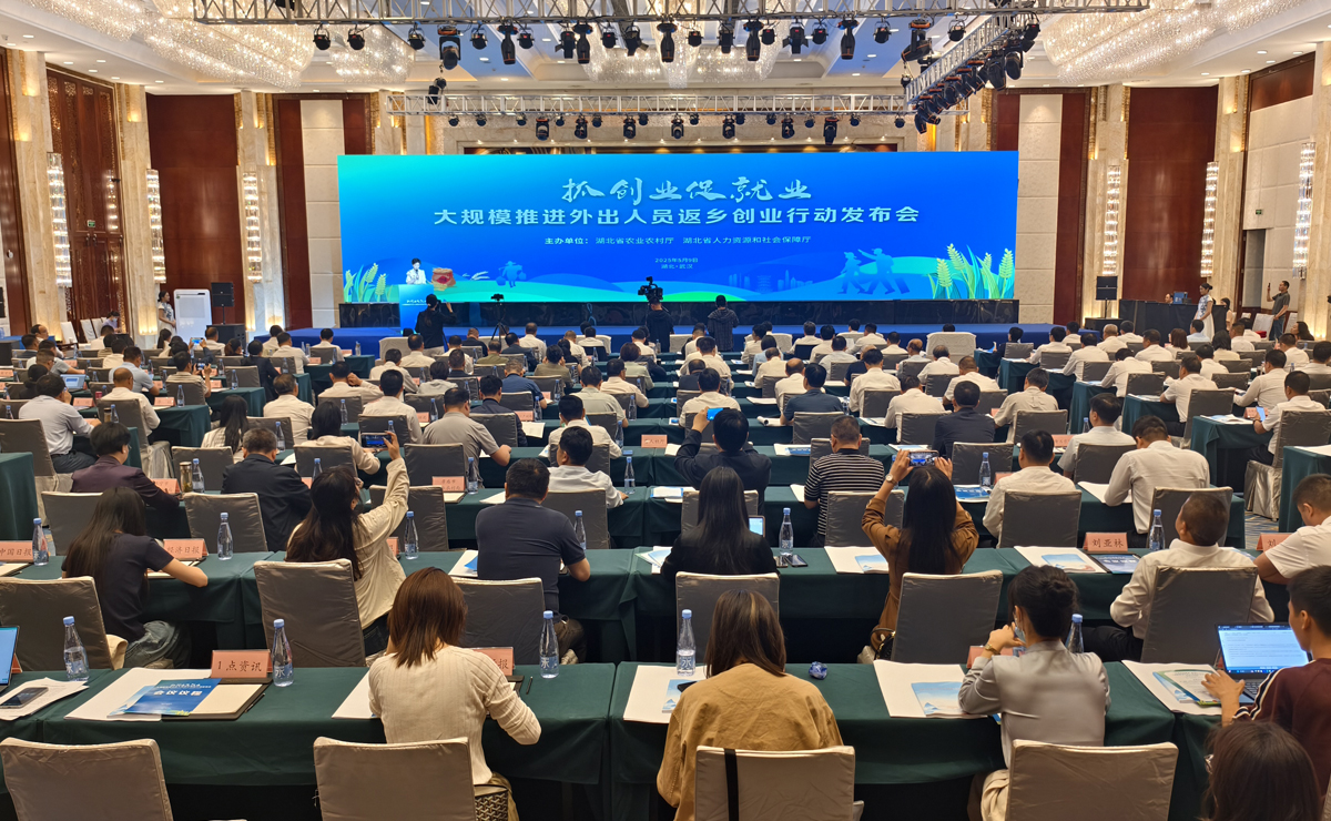 湖北省大规模推进外出人员返乡创业行动发布会