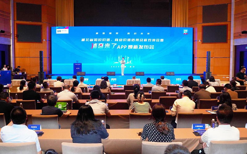 湖北省知識價值及商業價值信用貸款對接會暨“浦惠來了”APP煥新發布會現場。陳周璇攝