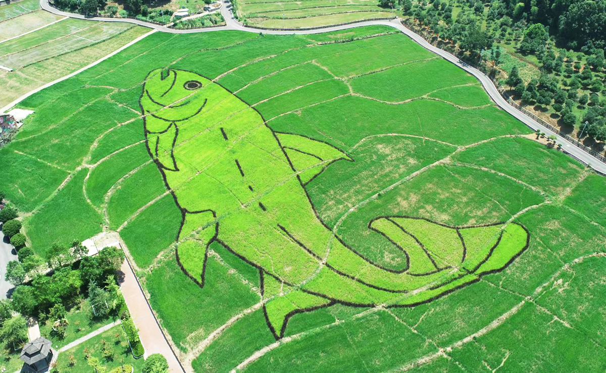 鄂州市梁子湖区金土地农机专业合作社