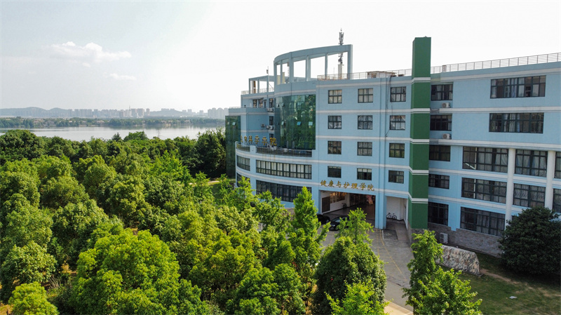 健康与护理学院。