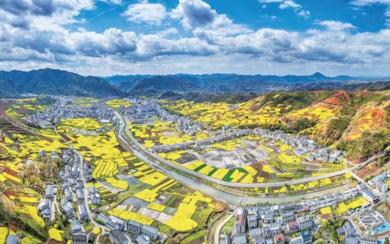 国烟帮扶下的擂鼓镇焕然一新。高竹摄