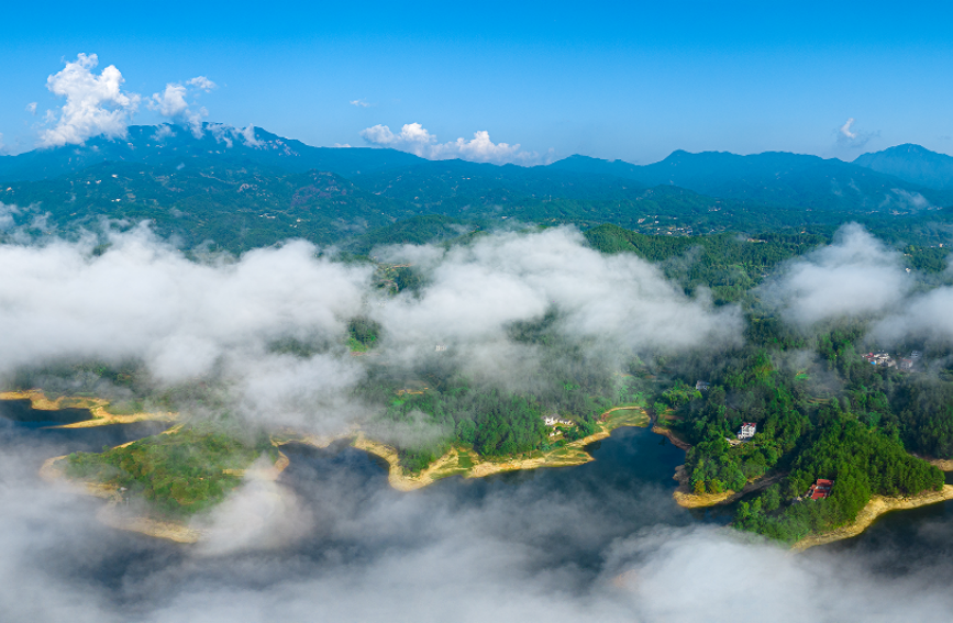 来罗田纵享大别山那一抹清凉 