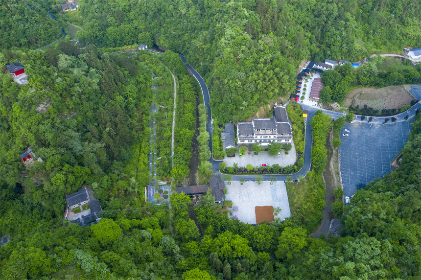 竹山太和梅花谷