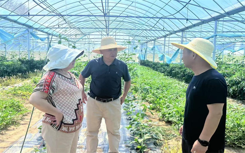 武汉农技专家团在田间地头指导农户生产。