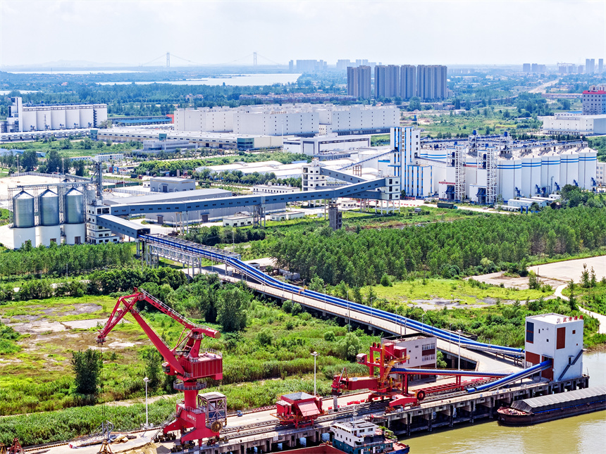 武汉新洲：建设“大国粮仓” 打造华中“食谷”