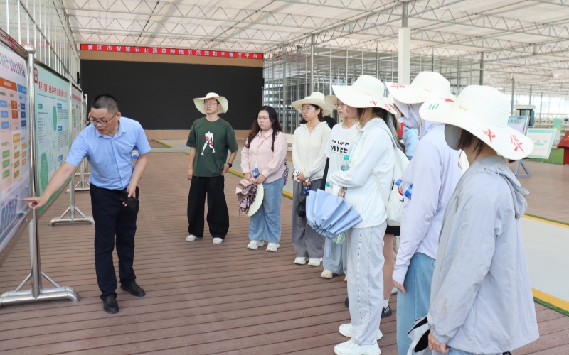 武汉轻工大学土木工程与建筑学院社会实践团队。