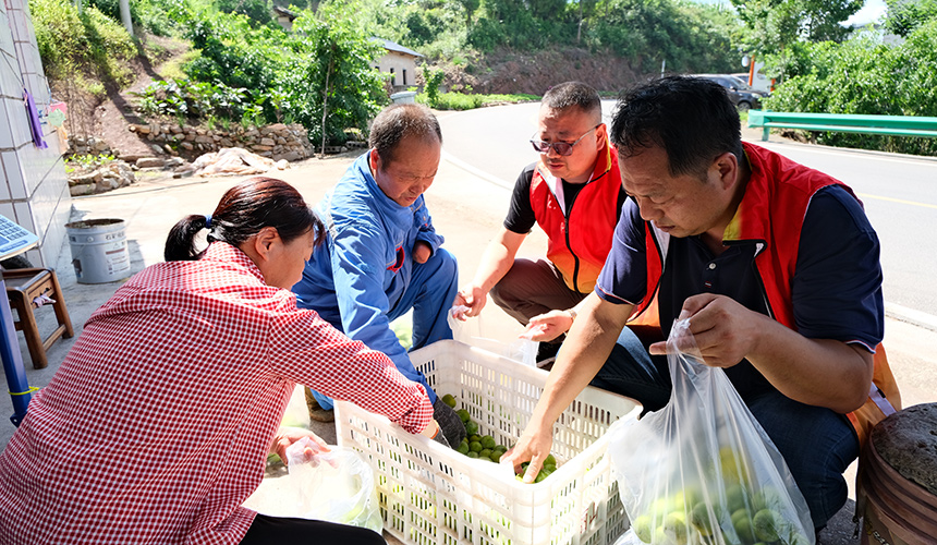 秭归县局（营销部）助农突击队帮助残疾零售客户分拣水果。