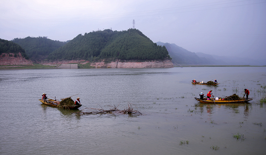 湖北十堰郧阳：守护核心水源地【4】