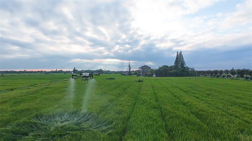 “小田并大田”激活鱼米之乡新动能