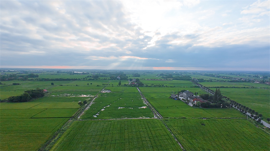 “小田并大田”激活鱼米之乡新动能