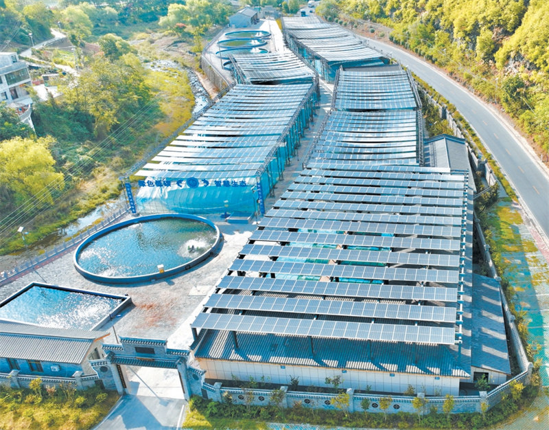 郧西县土门镇渔光互补设施渔业基地。 徐军摄