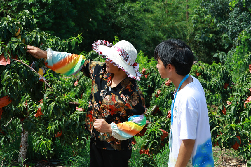 村民给志愿者讲解