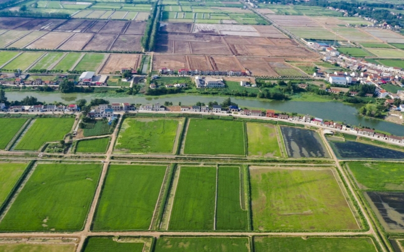公安縣麻豪口鎮全域國土綜合整治項目獲評2024年湖北省全域國土綜合整治優秀范例。