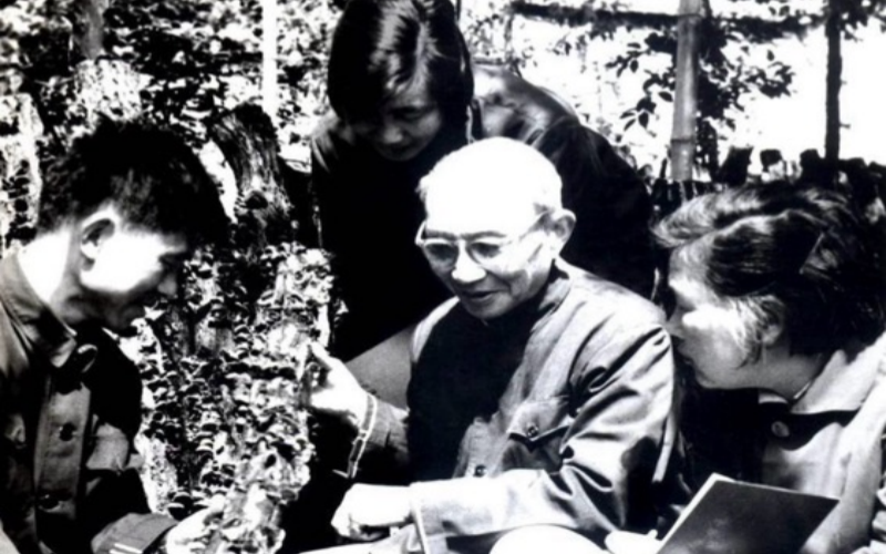 楊新美教授向菇農傳授段木香菇栽培技術。隨州宣傳部供圖