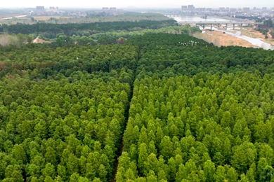 《澴水长歌·孝昌篇》 聂萍