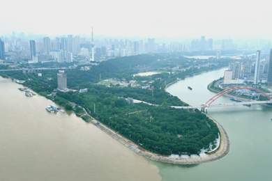 《这就是武汉》陈冰 翟琼 王良圆 陈军