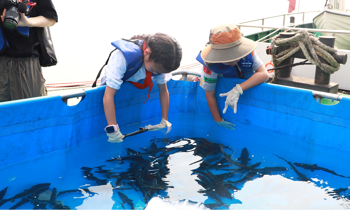 《小学生观察中华鲟》 陈雪莹 摄