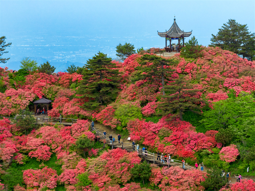 龟峰山风景区