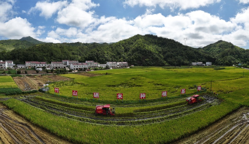 湖北竹山：让“富硒好物”香飘世界