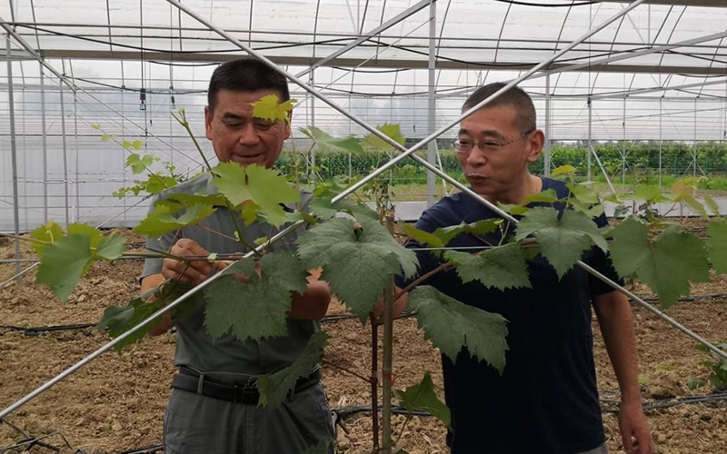 隨縣有余村駐村工作隊員雲嘉（右一）。