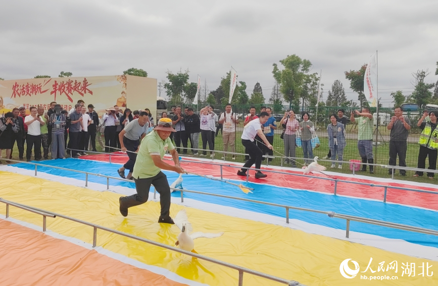 由農業企業、和美鄉村代表及市民組成的30余支隊伍比賽趕鴨子。人民網記者 郭婷婷攝