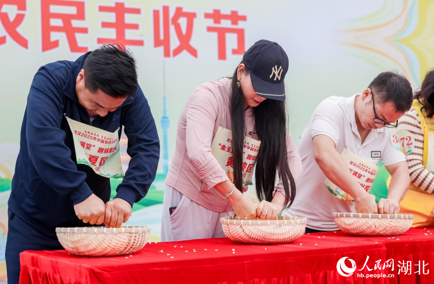 “金玉满堂”玉米脱粒擂台赛上，来自武汉七大农业区域的代表比拼90秒徒手剥玉米。人民网记者 郭婷婷