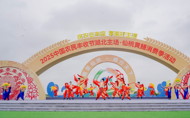 2025中国农民丰收节湖北主场活动在仙桃举行。袁立斌摄