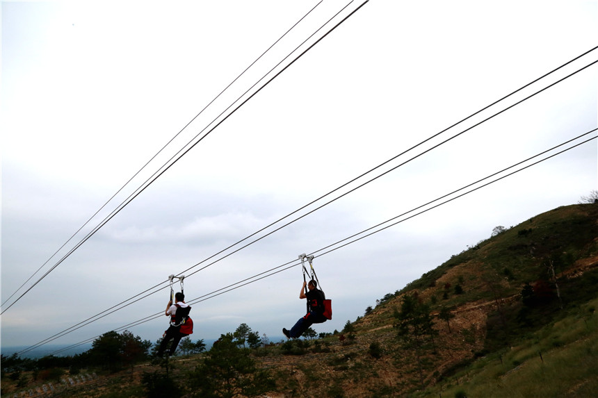 茶旅融合综合体