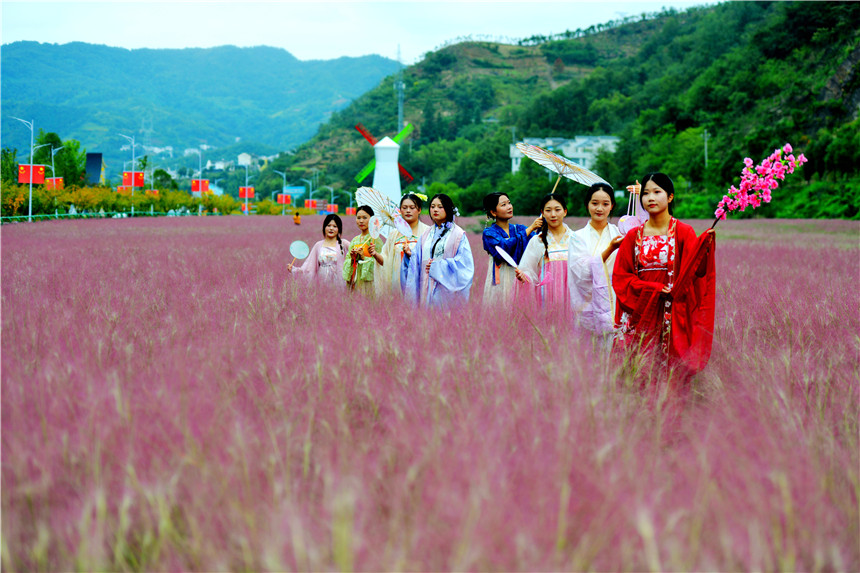 湖北竹山上庸鲜花小镇“秋花映月”引客来【3】