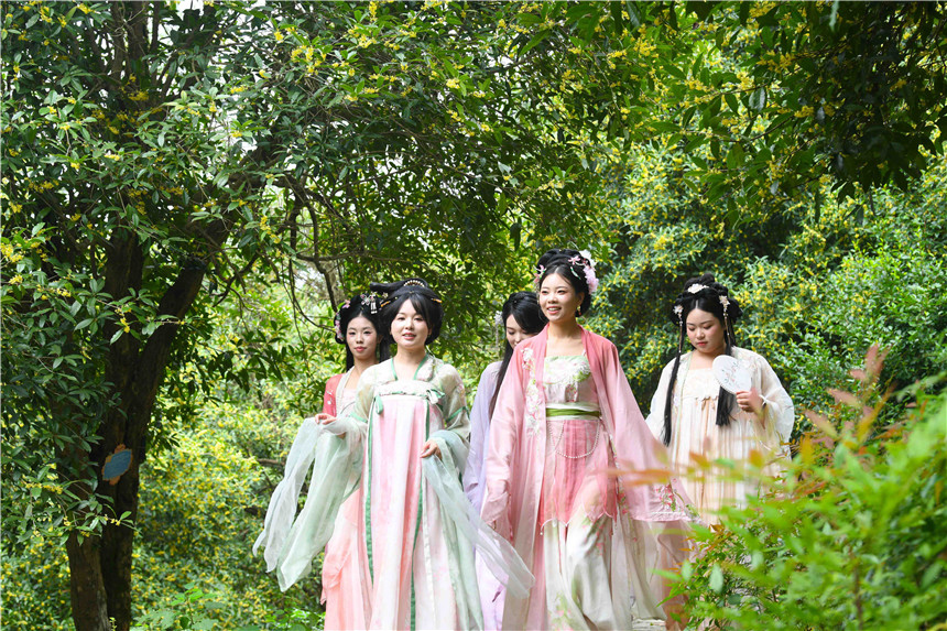 咸安区桂花镇桂花源风景区。陈红菊摄