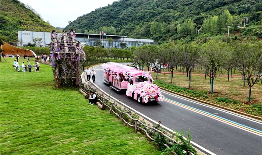 湖北竹山以花海顏值提升花樣價值