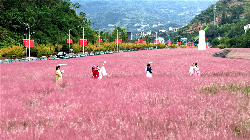 湖北竹山以花海顏值提升花樣價值【6】
