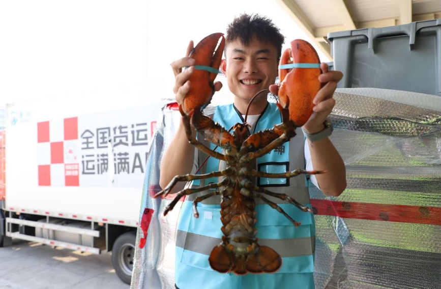 花湖机场运送的波士顿龙虾。